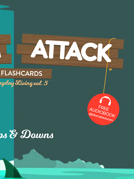 Idiom Attack ESL Flashcards